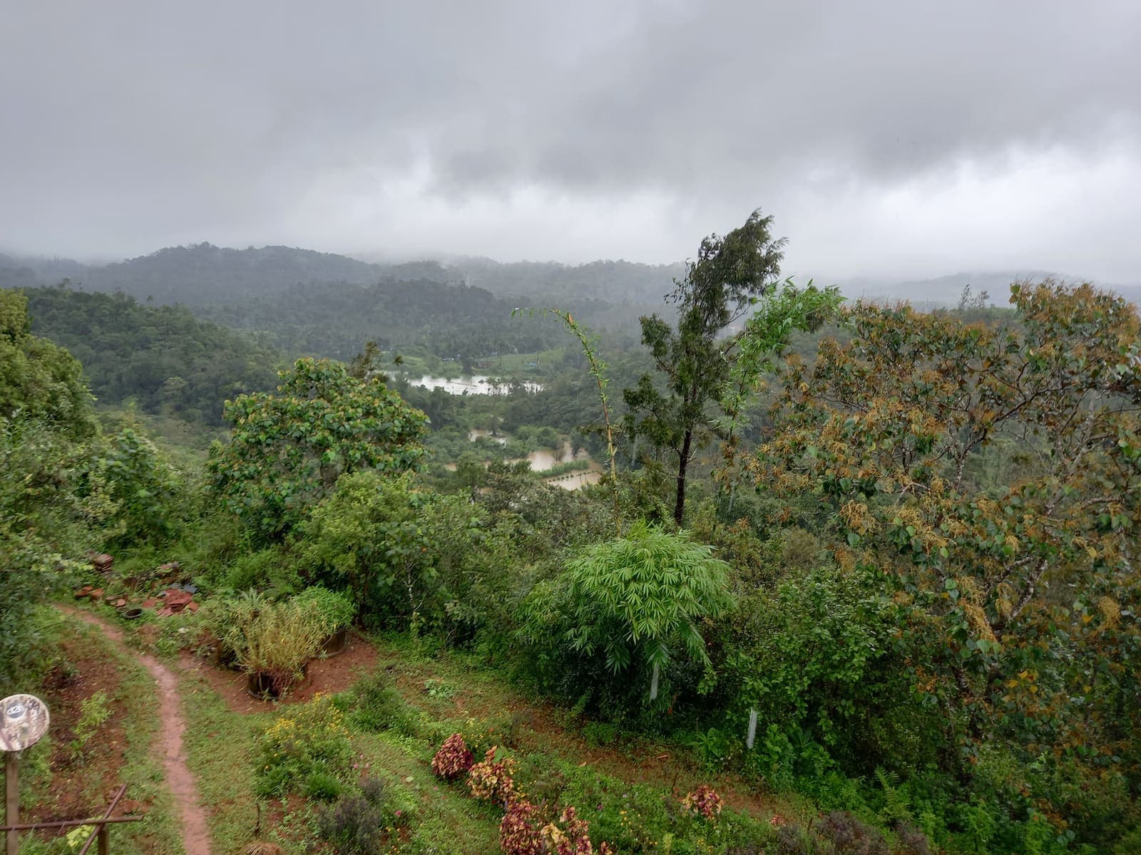Flooded valley fields during the height of the monsoon.