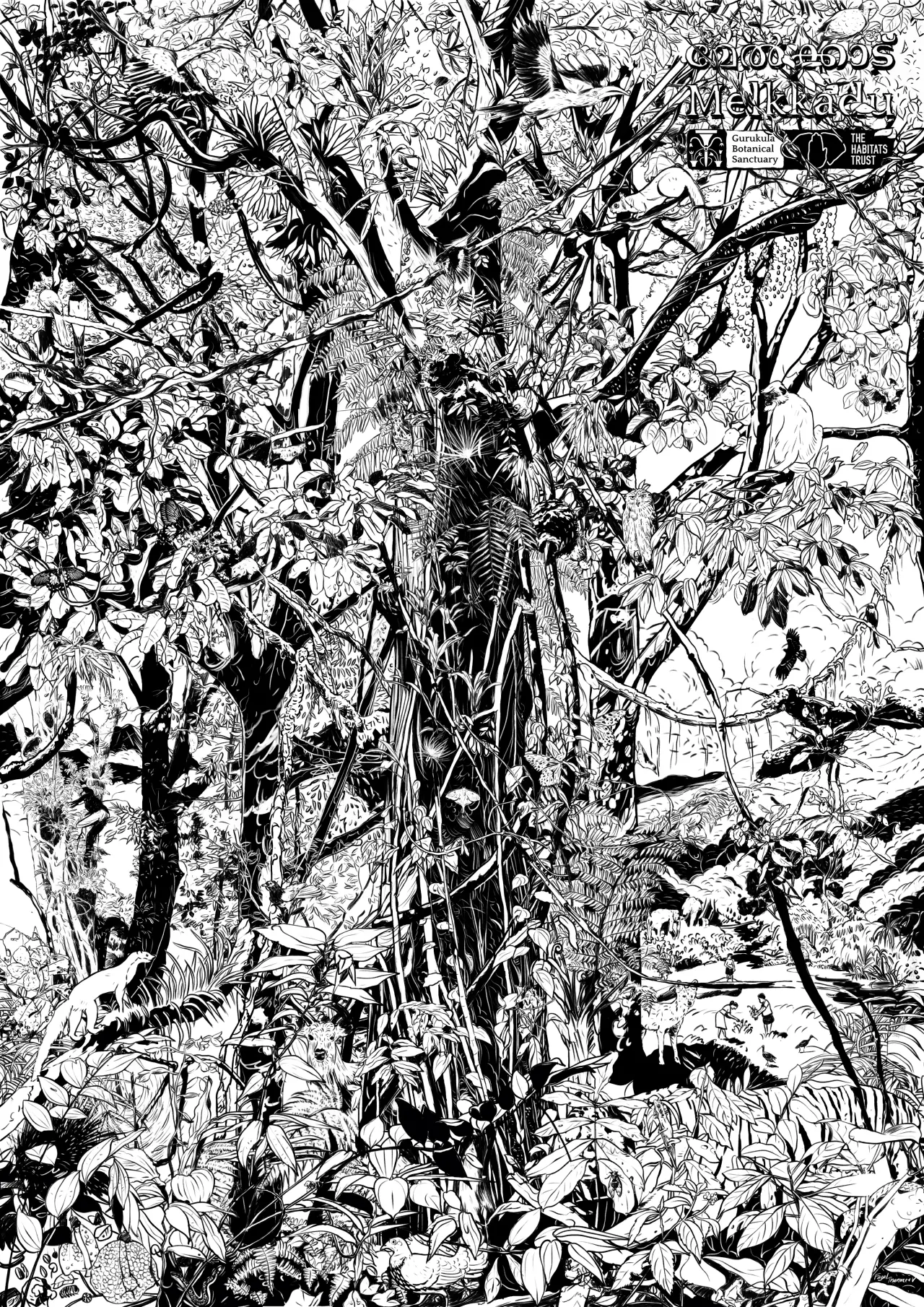 Forest canopy artwork — Wayanad evergreen forest